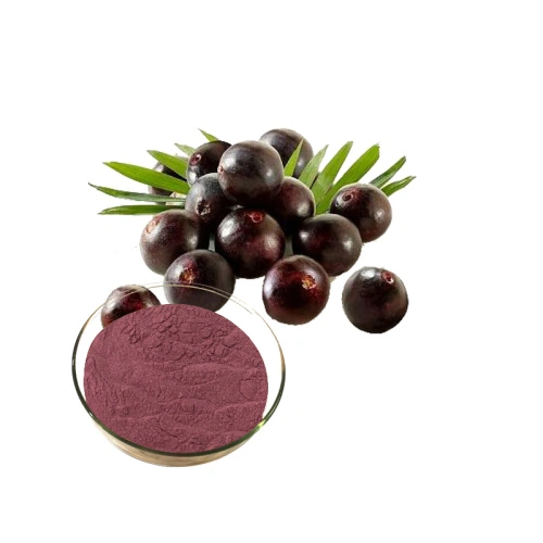 Acai berry chiết xuất